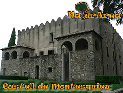 Castillo de Montesquieu