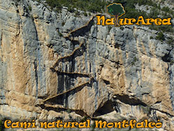 Camino Natural de Montfalc