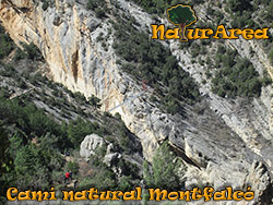 Cam Natural de Montfalc