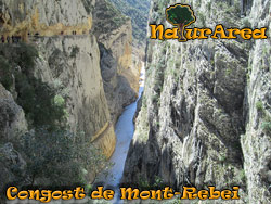 Congost de Mont-Rebei