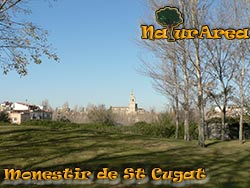 Monasteri de Sant Cugat