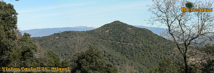 Vista Valls Oriental (Sant Fost)