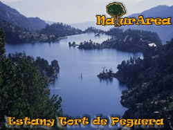 Lake 
									Tort de Peguera
