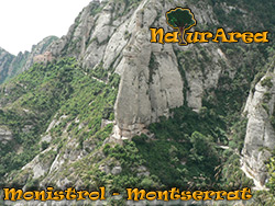 Monistrol - Montserrat