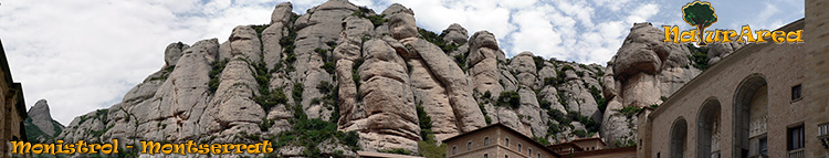 Panormica Montserrat