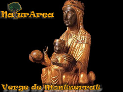 Verge de Montserrat