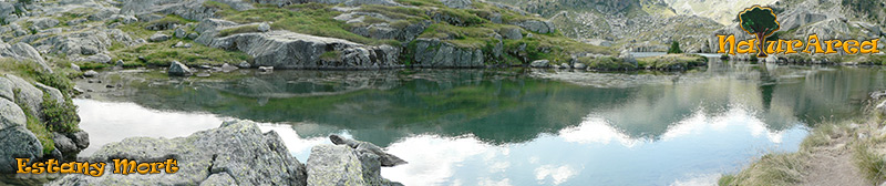 Panormica Estany Mort